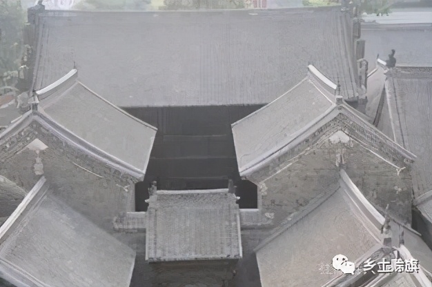 赊店鸽事之四鸽王末路