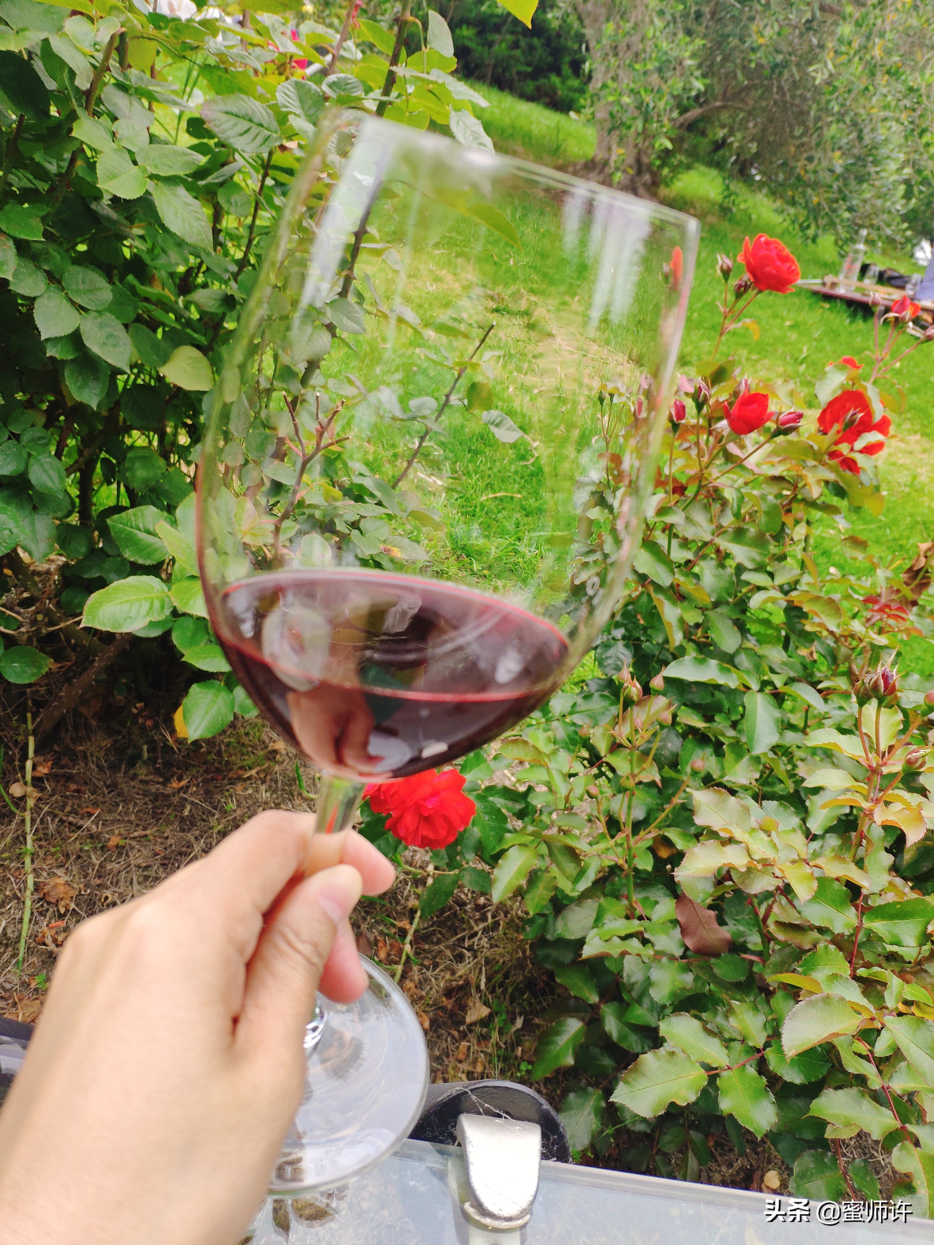 新西兰南北岛11日精美之旅,新西兰南北岛10天