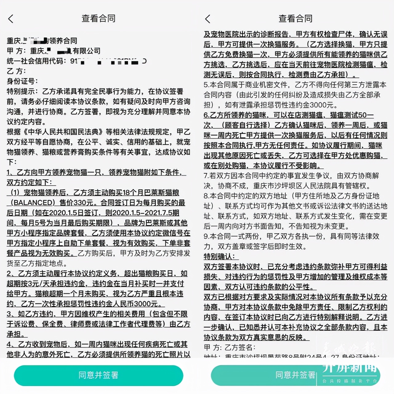 流浪猫被领养6次后续,小猫被领养两天后死亡