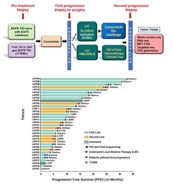dna与rna在细胞中的分布实验步骤,dna和rna能检查出来癌细胞吗