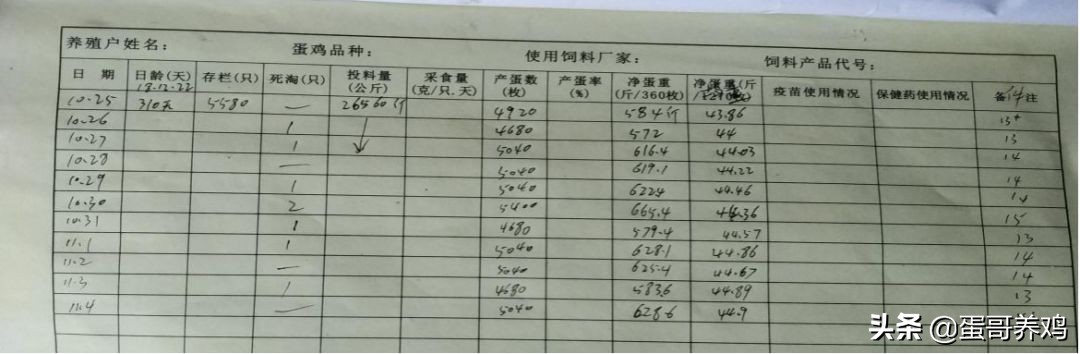 用草养鸡能节约多少饲料,养鸡如何节约饲料成本