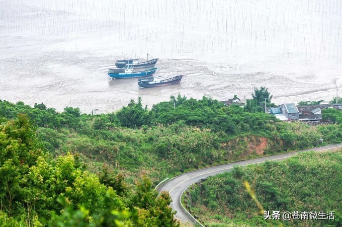 苍南小众山,浙南苍南县城