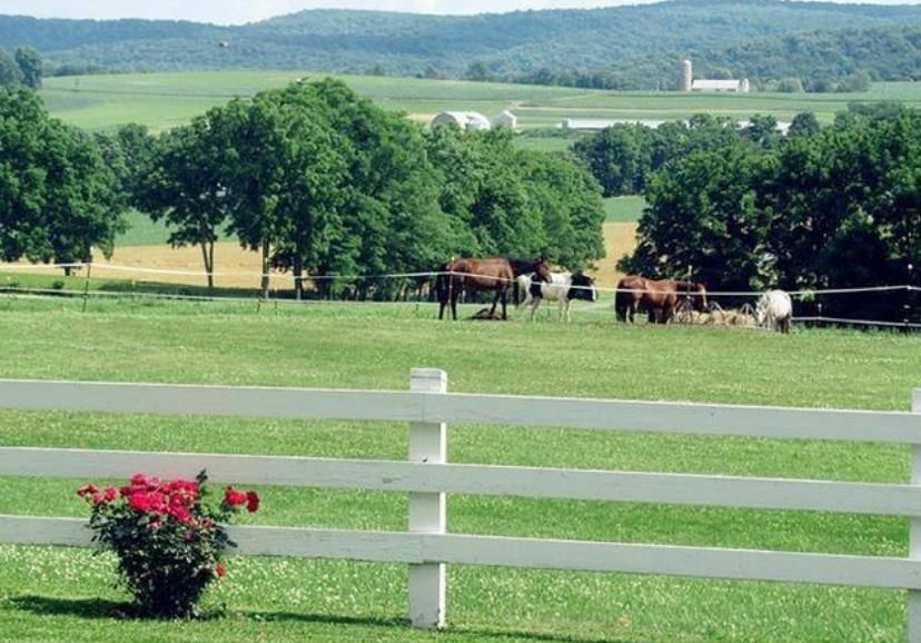 美国山区农村是什么样子的,实拍美国的农村环境着实令人羡慕
