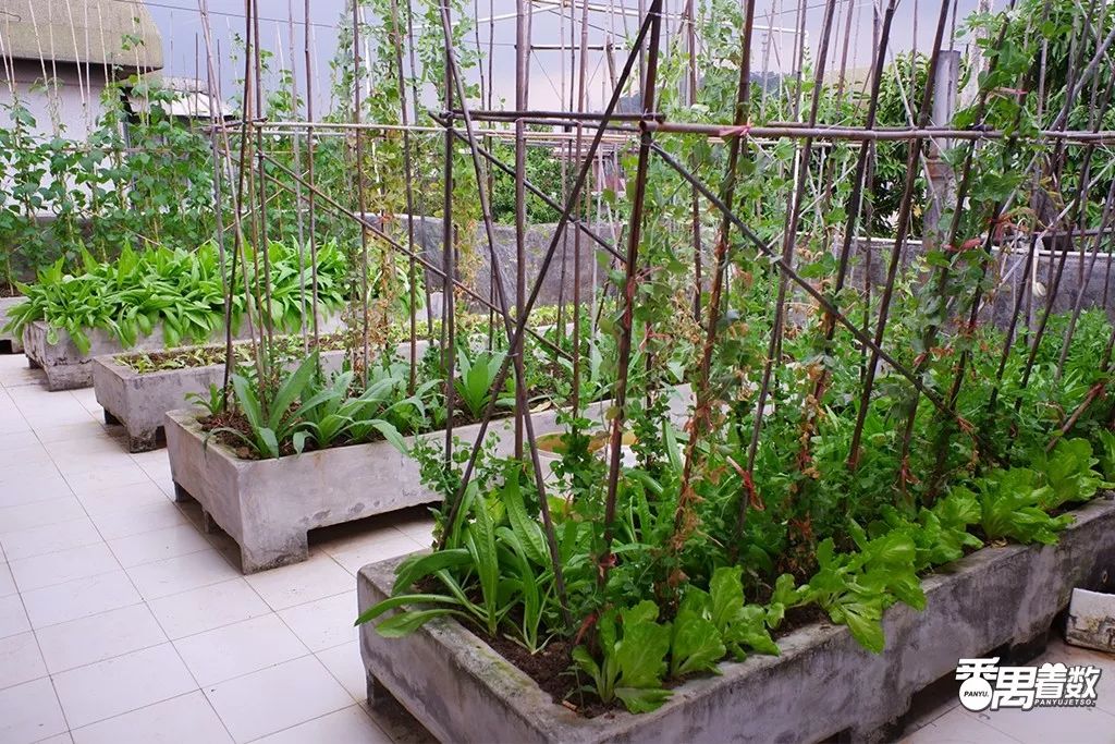 在广州番禺哪里住得舒服,在番禺住哪里比较好