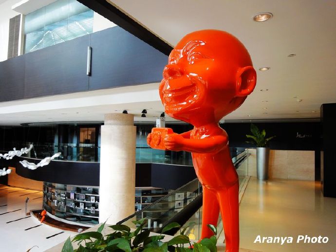 从艾美酒店到金顶,厦门艾美酒店到仙岳公园