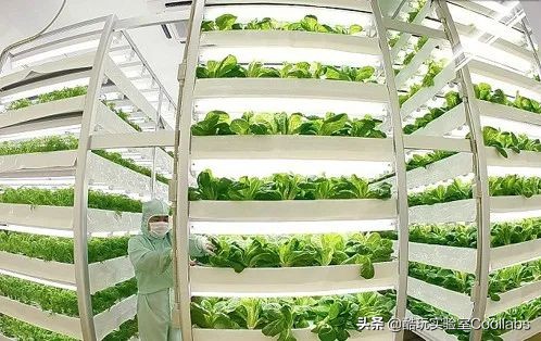 北京三环农田,北京三环麦田房价