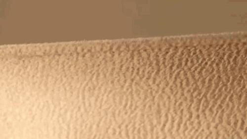 maxmara101801经典款大衣,maxmara101801大衣尺码对比