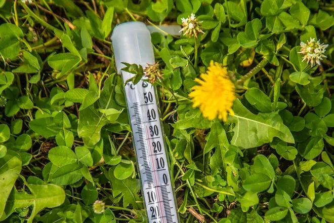 布市滞留国人获得信息难，商户赚钱应远离*场赌**