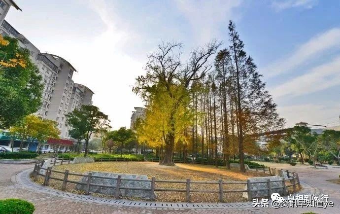 上海地铁5号线沿途景点,上海地铁8号线沿线景点攻略