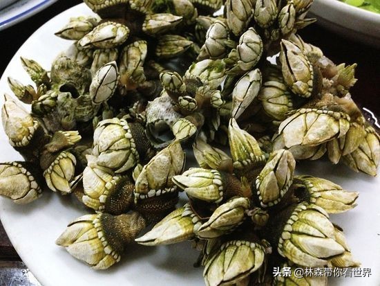 林森带你看世界——中国最美的海岛之：珠海东澳岛