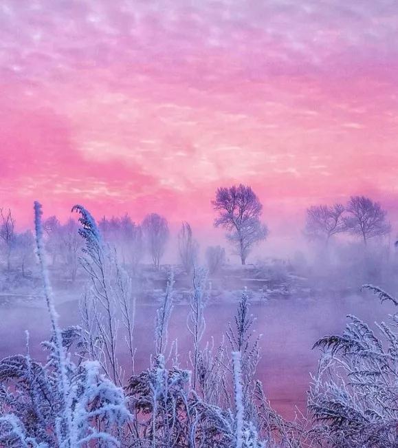 此生必去看一次雾凇太美了,此生必去看一次雾凇简直要美哭了