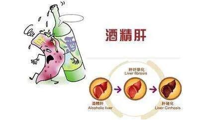 得了乙肝的人身上长红点怎么回事,乙肝病毒携带者身上有一颗颗红点