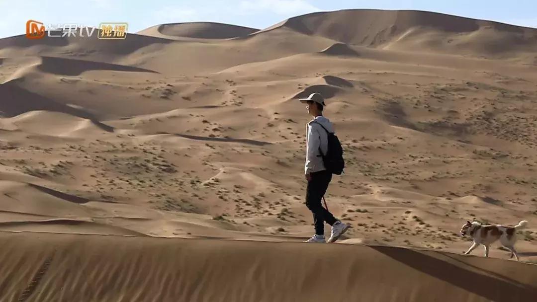 十九季变形计,变形计十九季有多少人变形