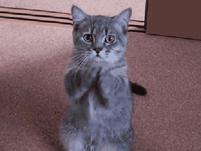 中考前该不该给孩子补课,临近中考孩子该不该去辅导班