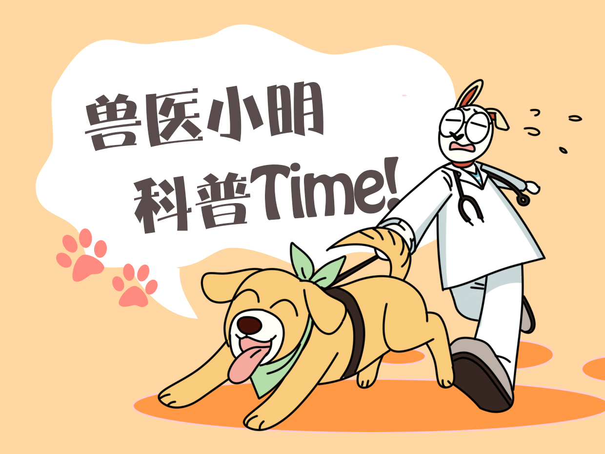 家养的乌龟下蛋了怎么回事,多年的乌龟下蛋了