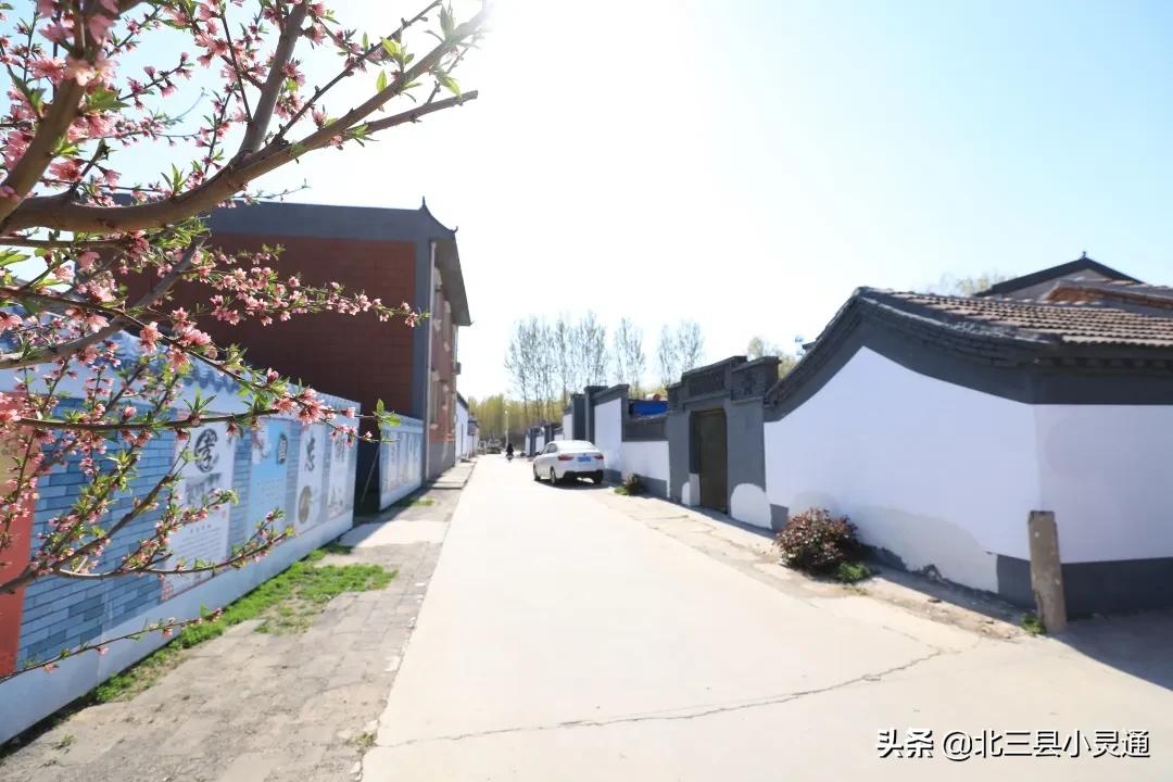 民宿木屋采摘园,休闲观光特色民宿生态采摘