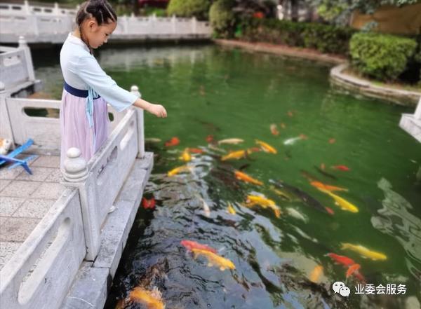 12年没交物业费怎么算的,老小区多少年之后就没有物业费了