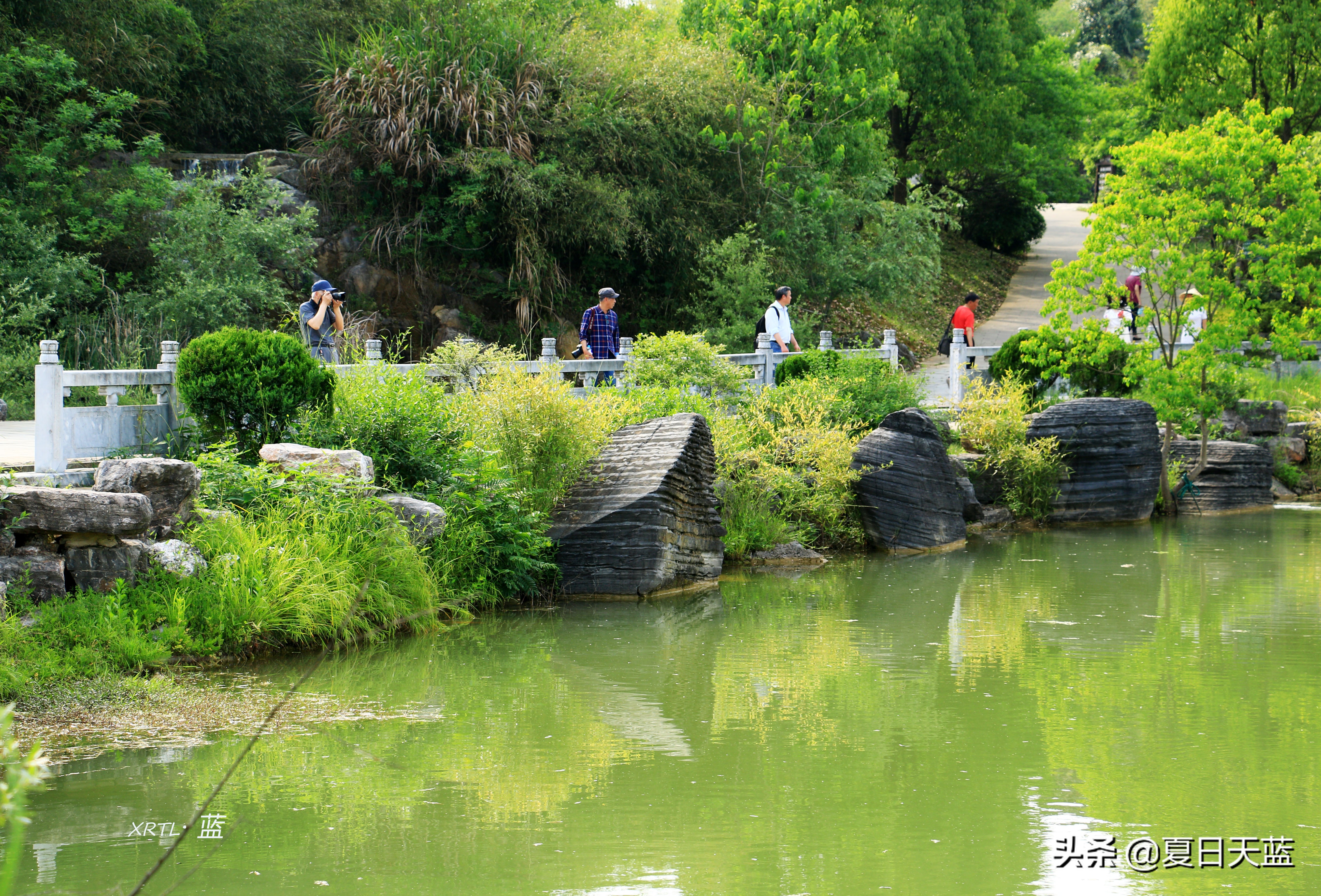 李白在桃花潭写的千古名句,桃花潭因李白而出名的诗句