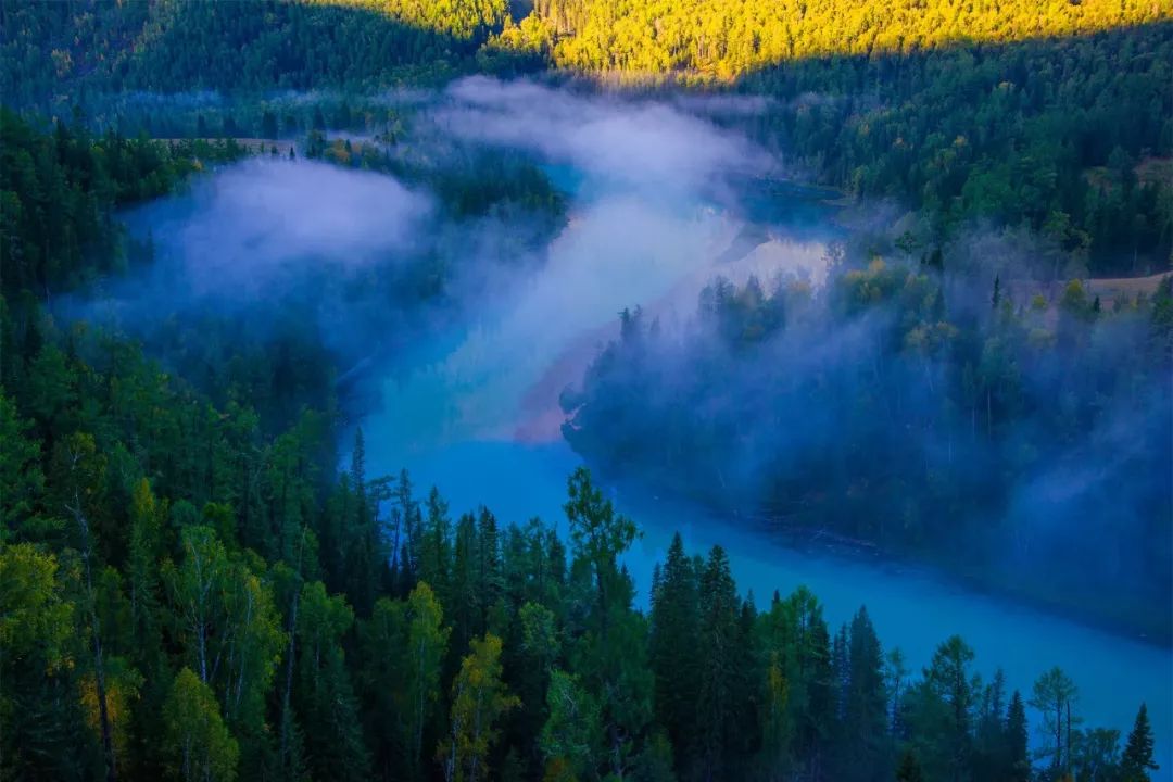 这是补气血最好的方法,不用去花冤枉钱