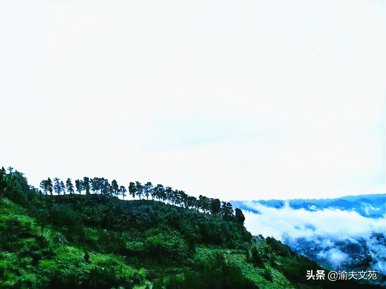 散文随笔摘抄大全,散文随笔原创短篇