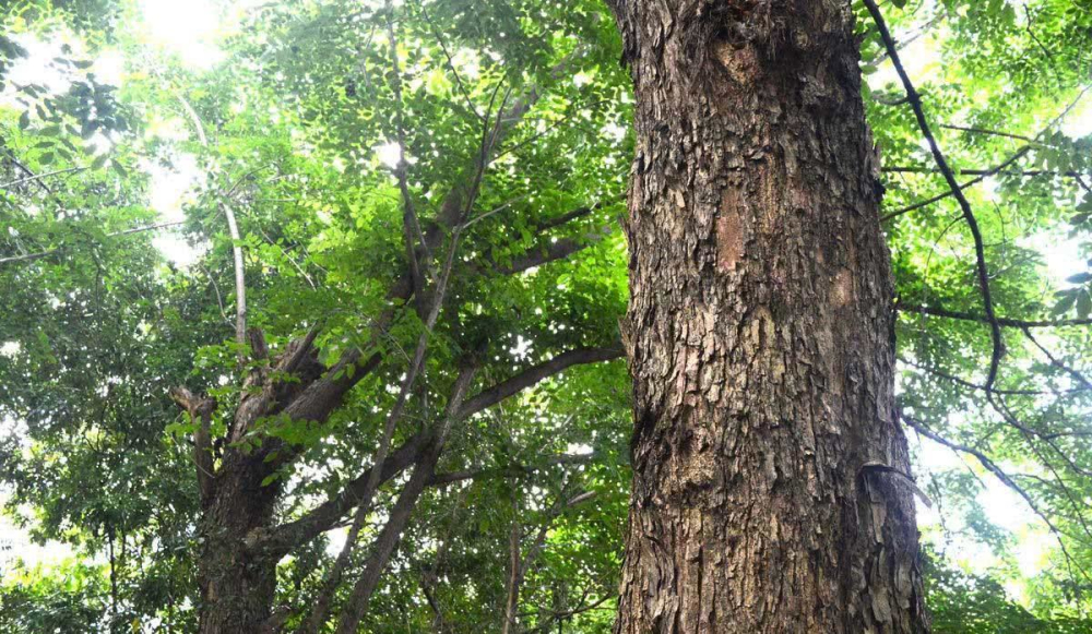 买家具价格被坑,买家具骗局套路最新