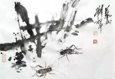 一条虫王的自述我这一生