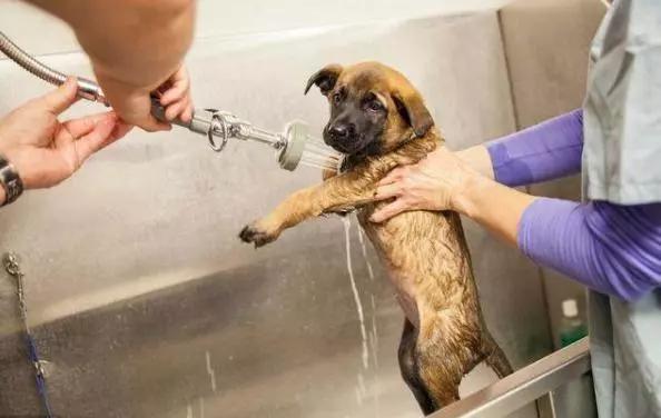 这五种情况下不能洗澡,这6种情况不建议立刻洗澡