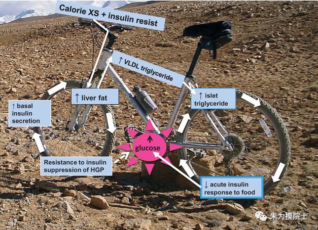 糖尿病通过运动减肥可以逆转吗,糖尿病可以通过吃中药来逆转吗