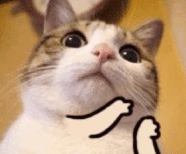 小孩子多大可以吃跟大人一样的油,吃哪种油是对大人小孩最好的