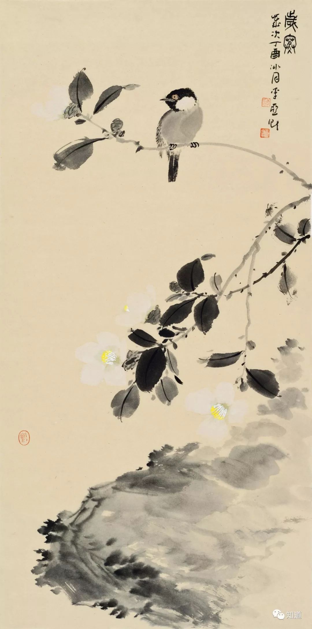 绘画必须明白的知识,绘画必须要学会什么