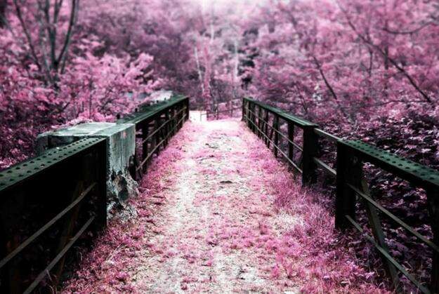 粥香浓郁口感丰富,粥真的很甜