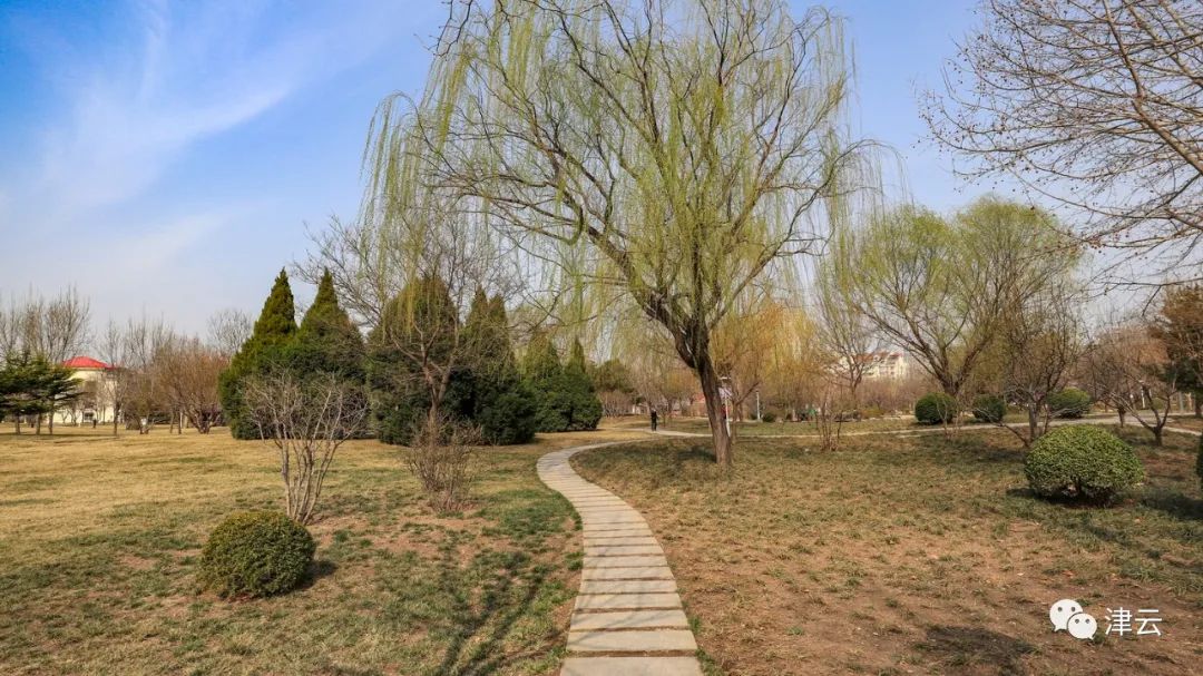 天津东疆亲海公园2022年开放吗,天津2022哪些公园恢复开放