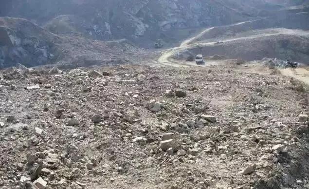 息县龙湖公园最美风景,美好可期风光无限