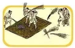 出门在外少吃菜,吃完水煮鱼怎么补救不发胖