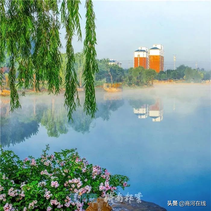 济南商河哪几个镇发展好,济南商河最穷的镇