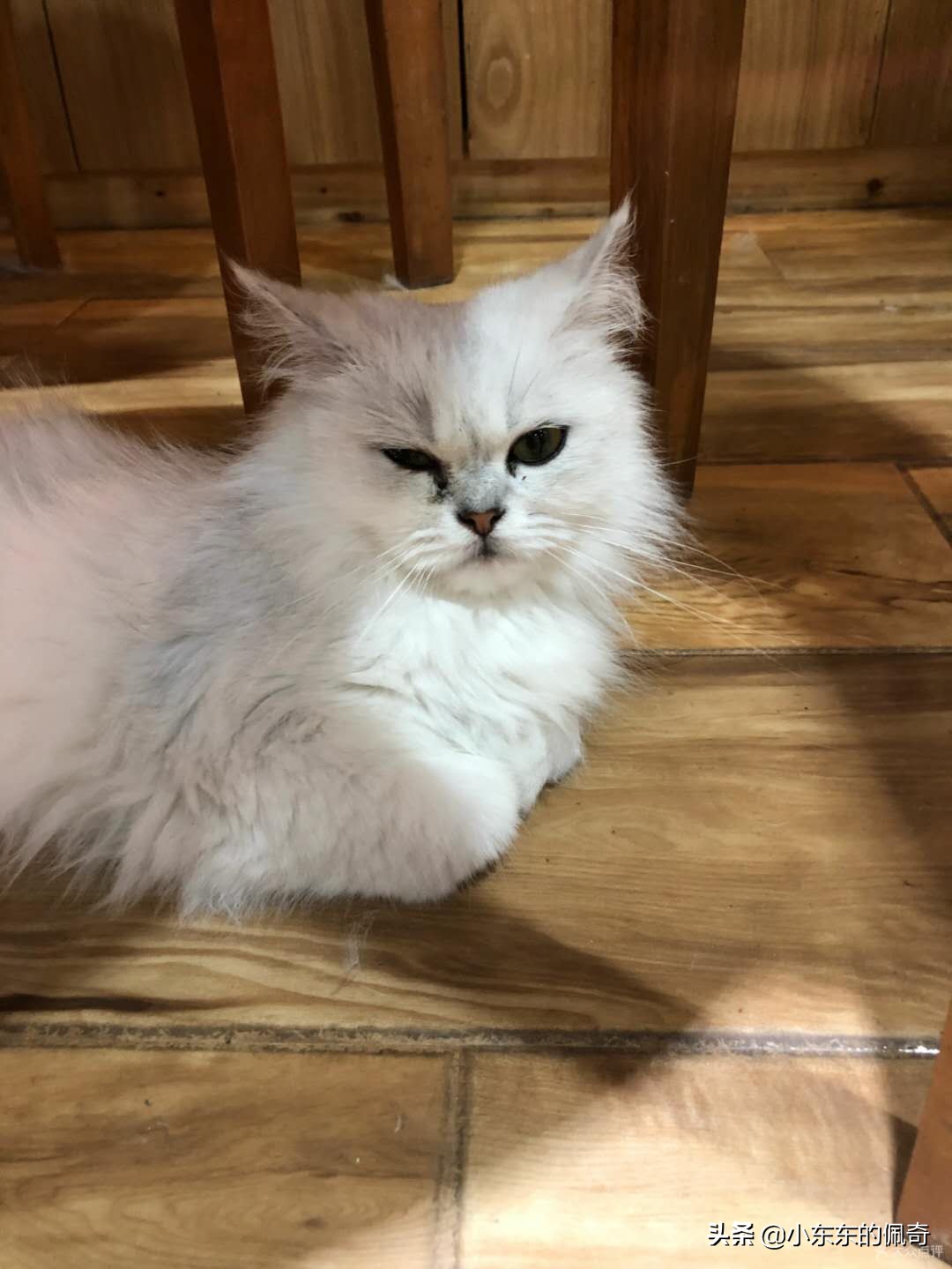 新街口附近美食推荐地方,新街口美食推荐拍照