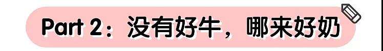 怎样让母猪奶水更多,怎样让兔妈妈奶水更足