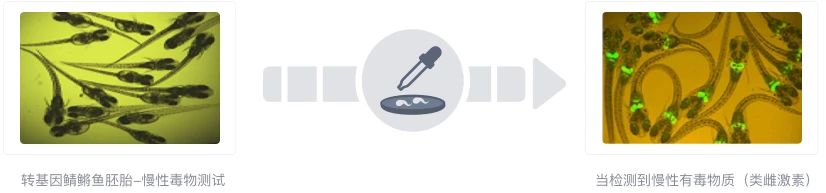 狗粮猫粮315打假榜单哪个好点,狗粮315打假榜单