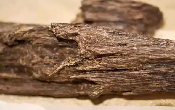 玩木头推荐木材,玩木头的十大好处