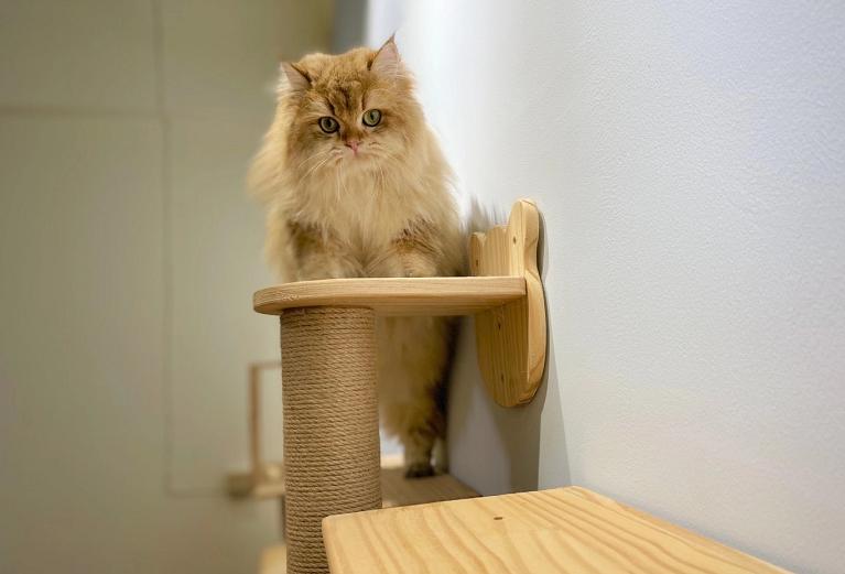 “平价款”：一个打工人生活中的小确幸