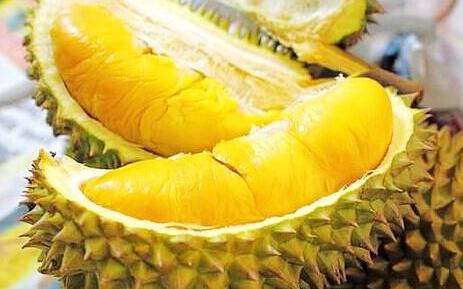 养狗必备大全,养狗宝典10天养成狗狗好习惯