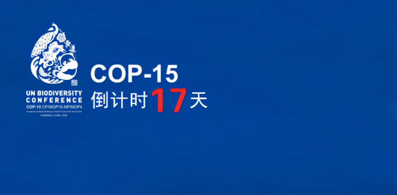 代表访谈丨访谈*党**代表，听听他们怎么说