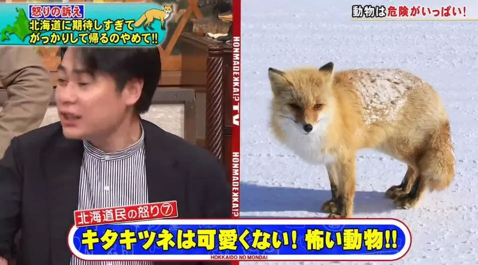 北海道民：求求你们了解下真正的北海道再做攻略，好不好？