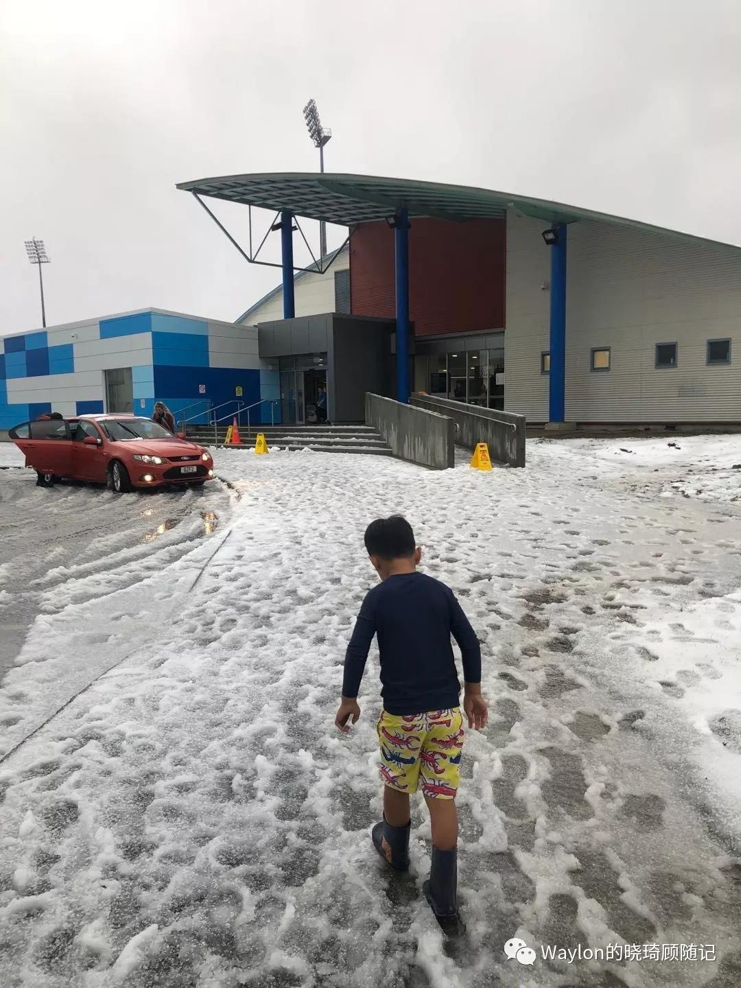 2019新西兰,2019年新西兰