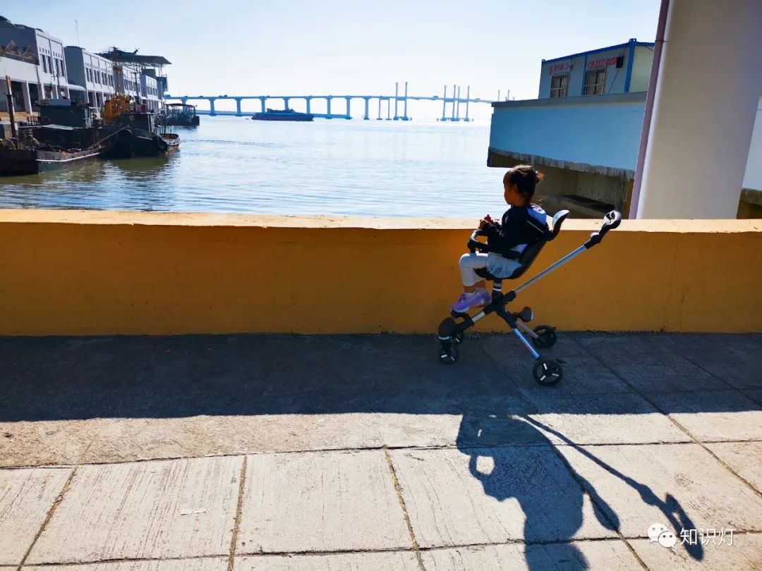 赌城简介,走进赌徒的内心世界