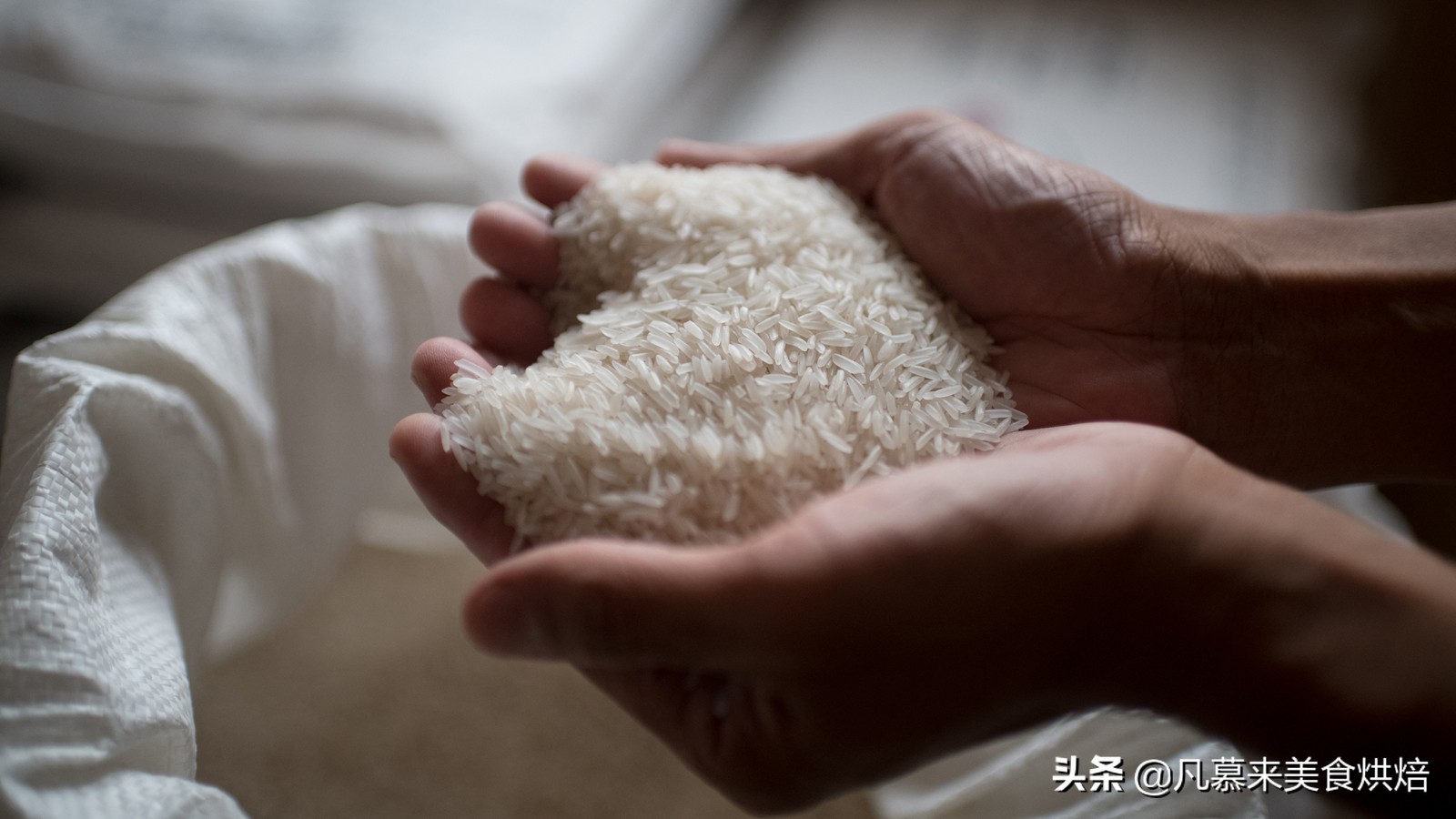 如何选购大米？怎样辨别大米是否是正品？学会这7步保证买正品米