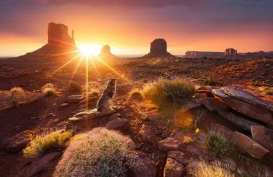 该不该面对自己的欲望,人如何面对自己的欲望