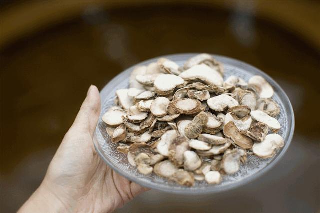 娴欐睙涔嬪績鏃呮父鏅偣,閫傚悎鍐ぉ鍘荤殑姹熷崡娓╂硥灏忛晣