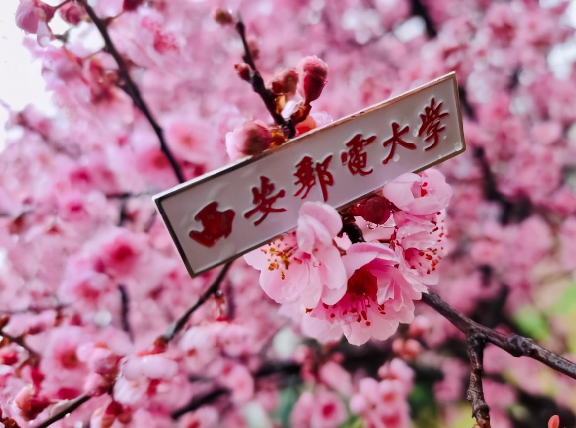 又一名单出炉！西安邮电大学这个专业进入全球工程教育第一方阵