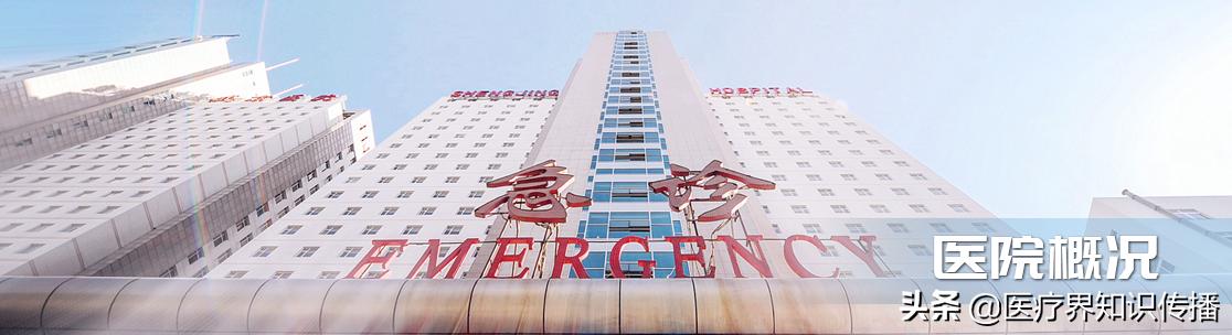 沈阳医大盛京医院属于几级医院,盛京医院是几级医院